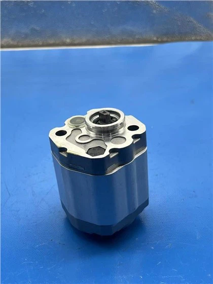 CBKP 32/32/18 BF XL CBKA-F4.2F CBHZG-GF30-AL CBKP100/63/50 CBKP100/50/40-Pompa Roda Gigi Hidraulik BFP CBK-F2.1 CB-KPR{{ 19}}/80/40-B1F1J